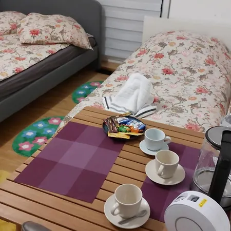 홈스테이 In Bewohnter In 뮌헨